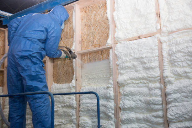 Types of Insulation We Offer in Campbell, FL